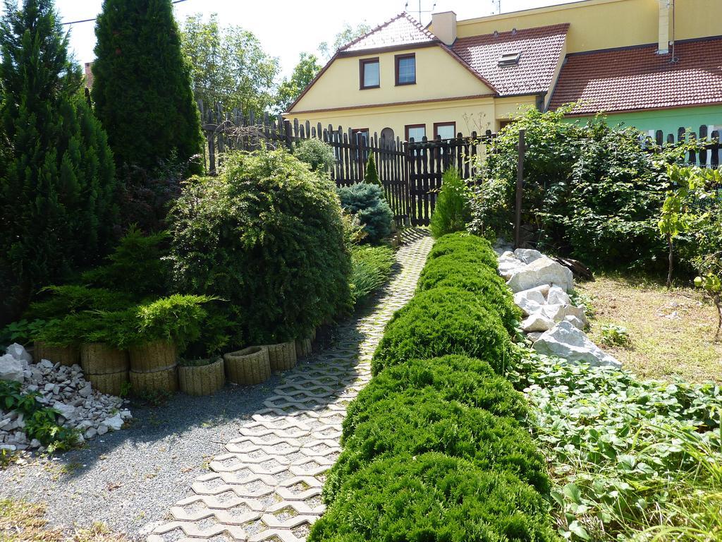 Guest house Cech 3*