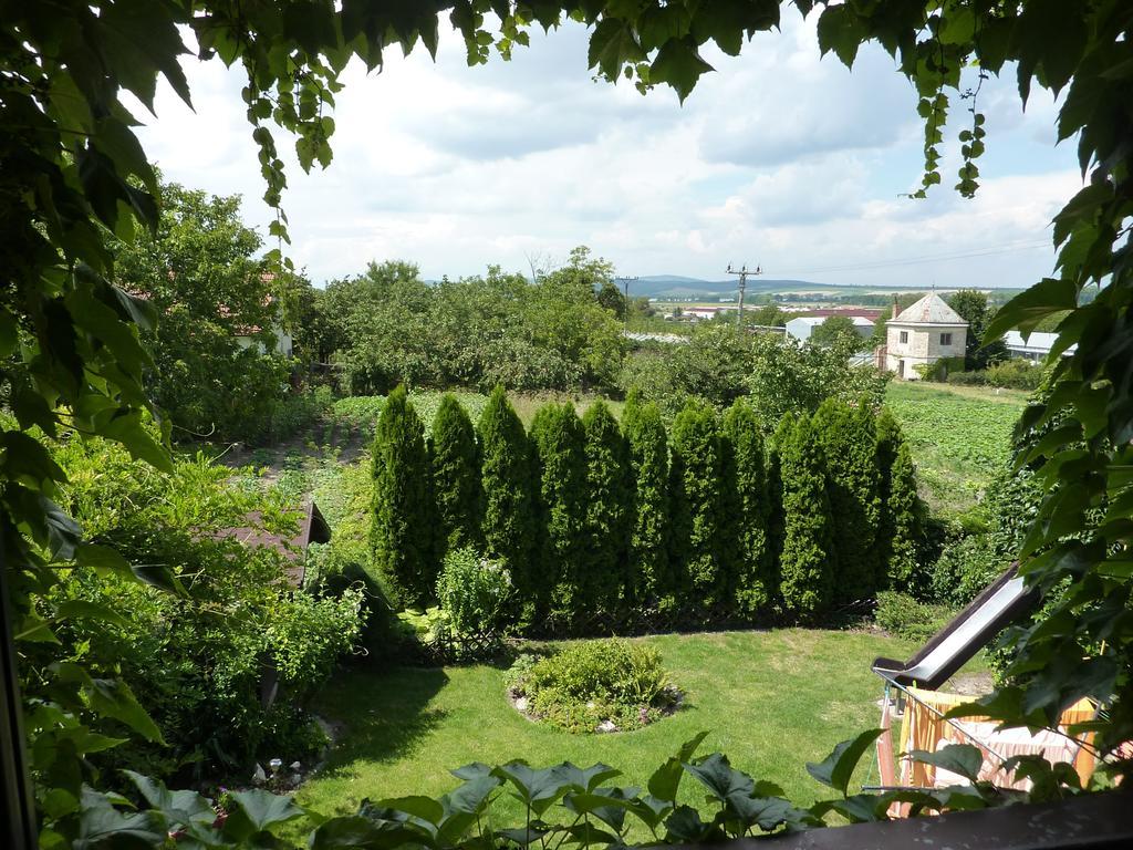 Cech Guest house 3*